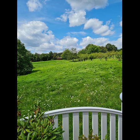 Neu Ferienwohnung Odenwald Rimhorn 外观 照片