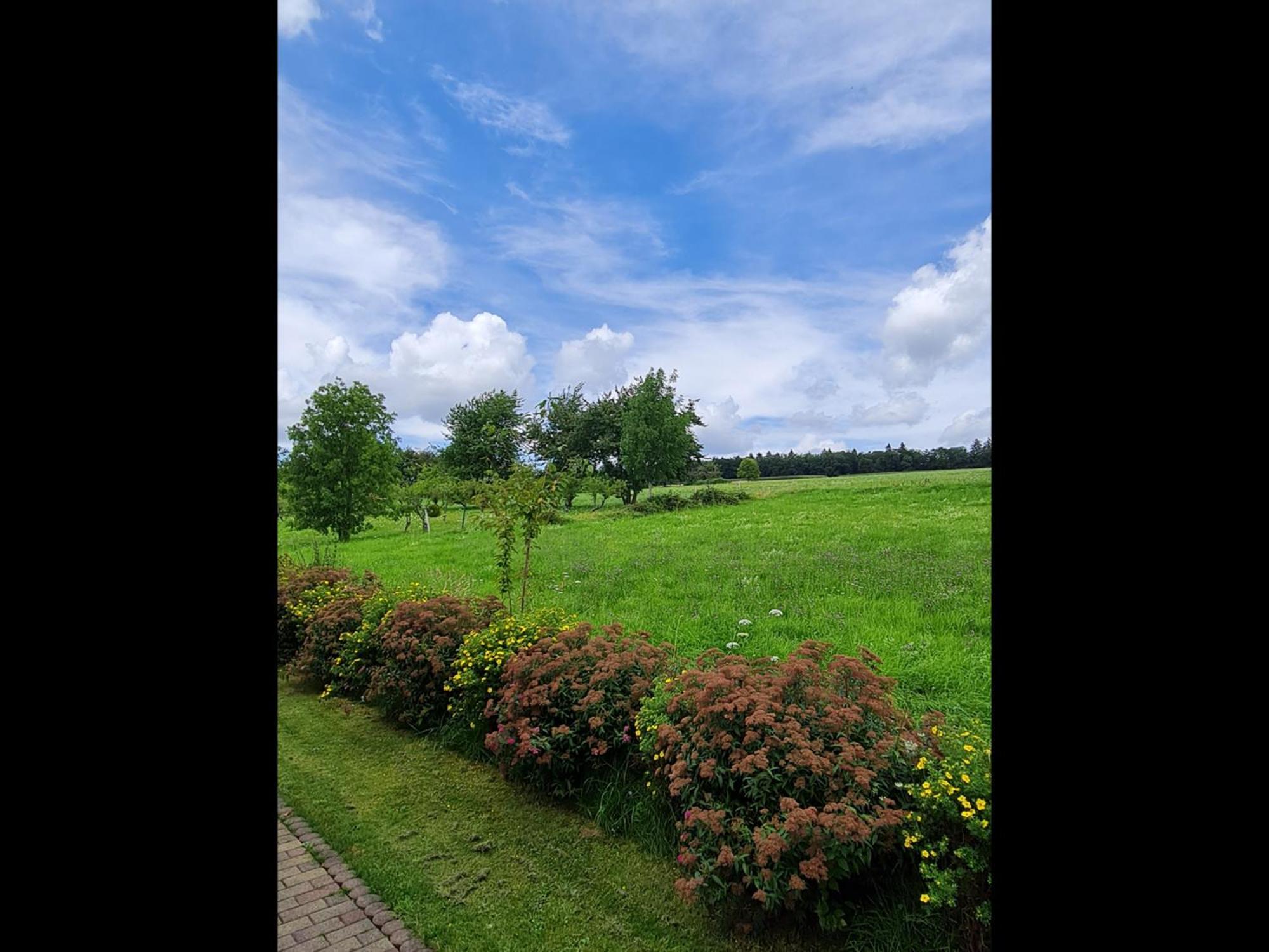 Neu Ferienwohnung Odenwald Rimhorn 外观 照片