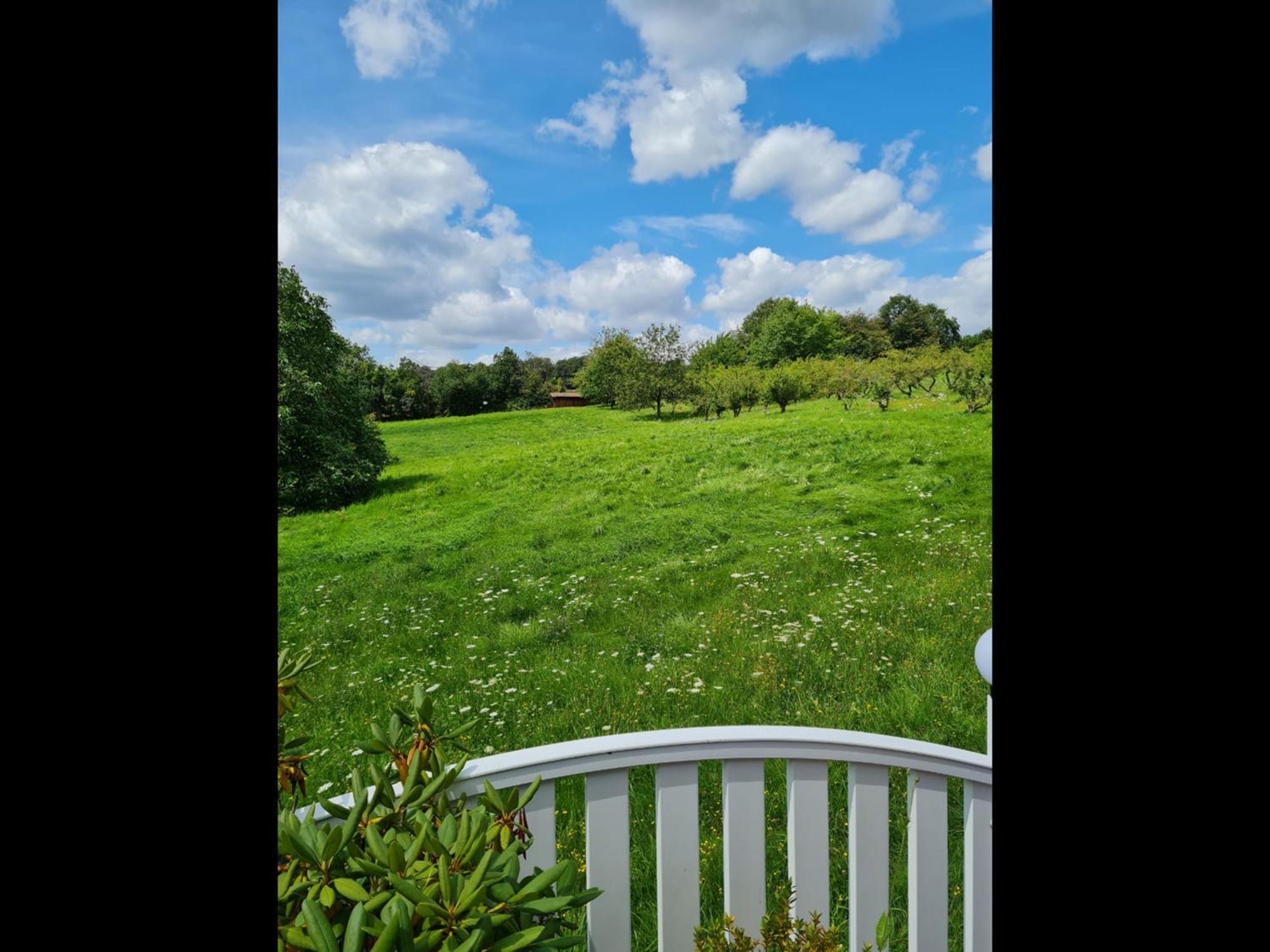 Neu Ferienwohnung Odenwald Rimhorn 外观 照片